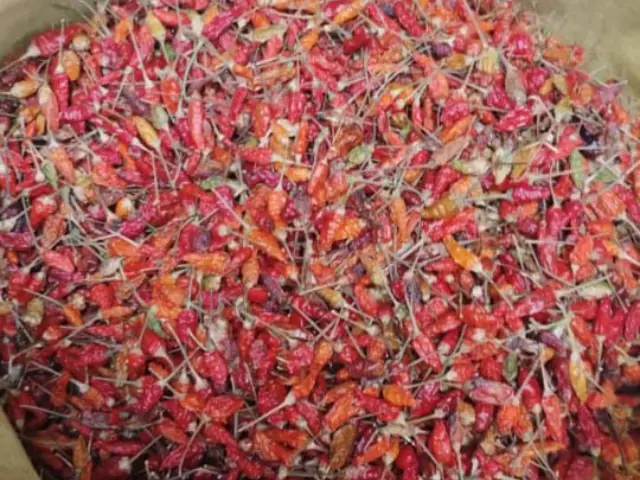 Bird eye chilli small red chilli India high heat spice bulk supply