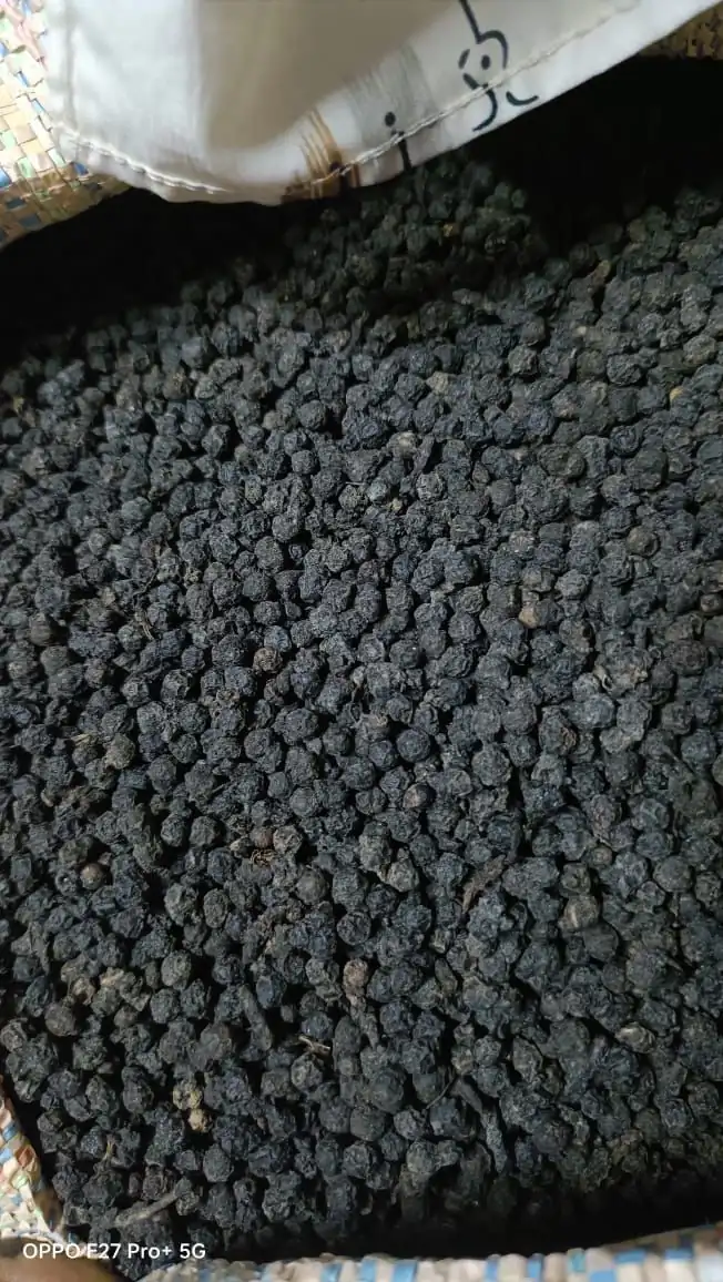 Black pepper whole kali mirch India bulk supply high quality spice