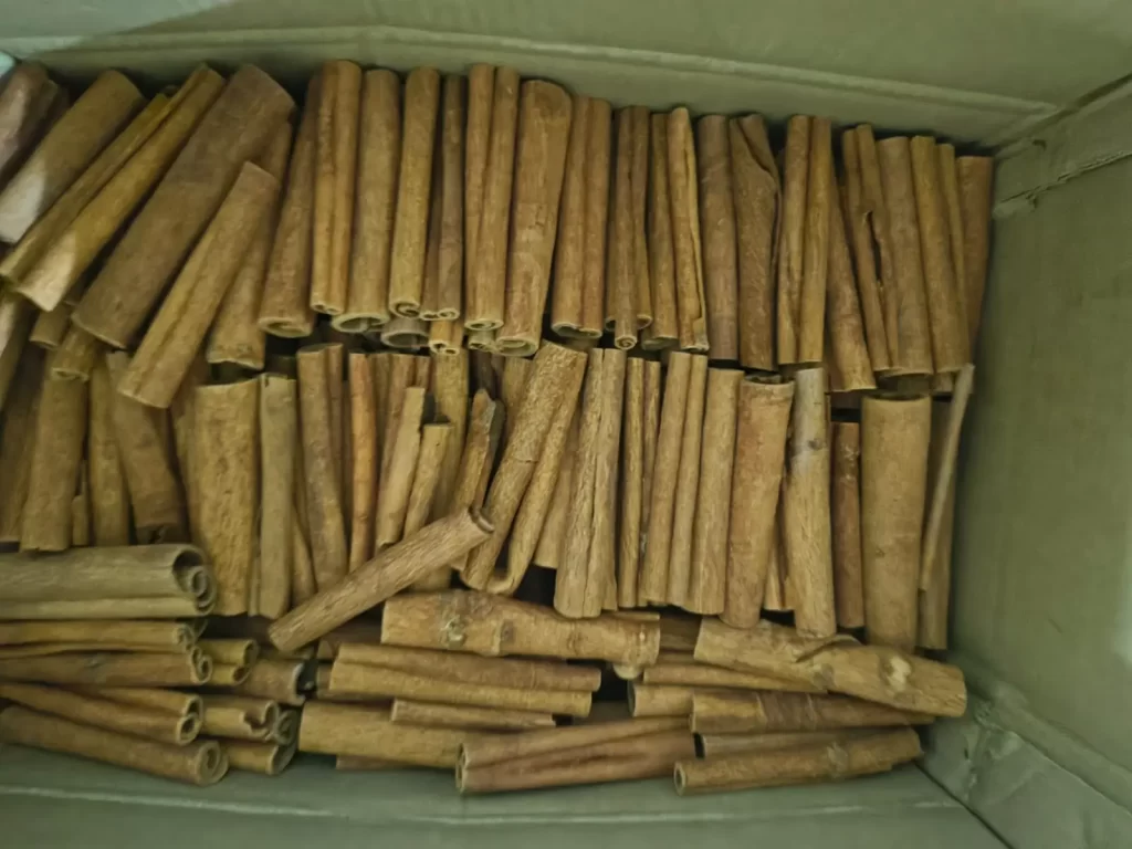 Cinnamon sticks cassia dalchini India whole spice bulk supply premium