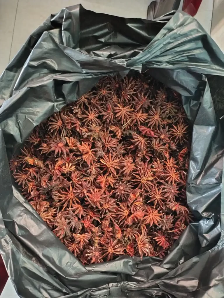 Star anise chakri phool whole spice India bulk supply food processing spice